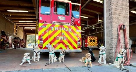 photo by Alameda Fire Department