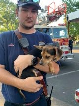 photo by Bishop Fire Department