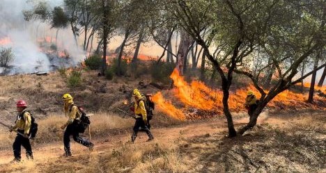 photo by Cal FIRE Butte County
