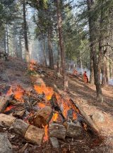 photo by CAl FIRE Lassen Modoc