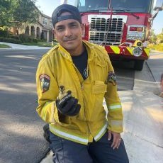 photo by Cal FIRE Riverside