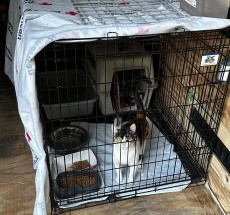 photo by CAL FIRE San Diego County