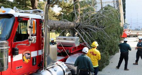 photo by Cal FIRE NEU