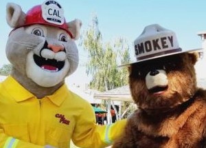 photo by Cal FIRE