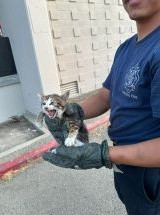 photo by City of Colusa Fire Department