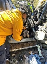 photo by Eldorado County FPD