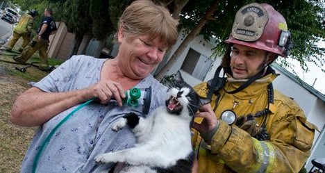 photo by Life with Cats