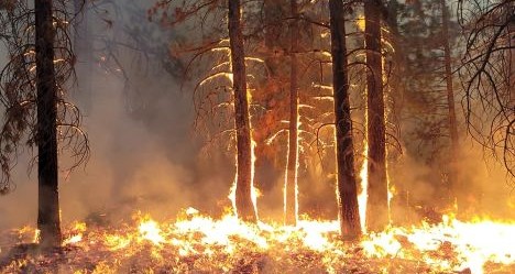 photo by Glen Codora Fire Protection District