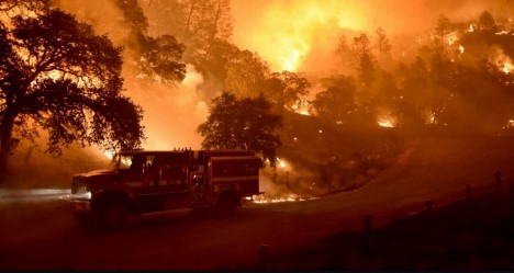 photo by Josh Edelson