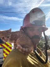 photo by Kern County Fire Department