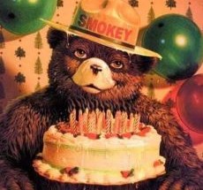 photo by Kings County Fire Department