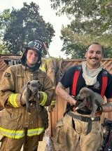 photo by Lake County FPD