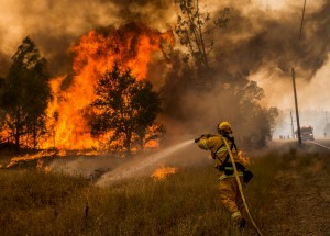 photo by Max Whittaker