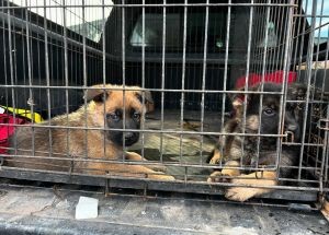 photo by Lompoc City Fire Department