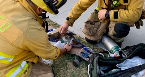 photo by Long Beach Fire Department