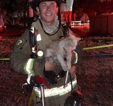 photo by Nevada City Fire Department