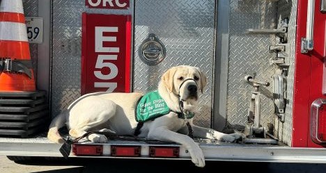 photo by Orange County Fire Authority