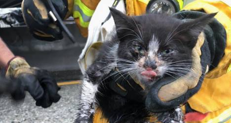 photo by Pasadena Fire Department