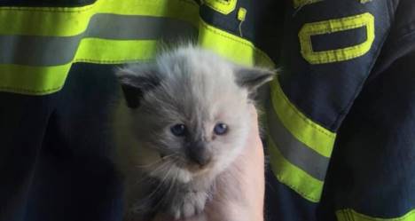 photo by Sacramento Fire Department