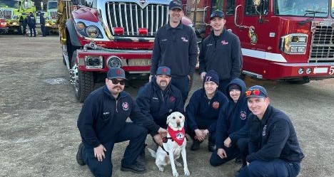 photo by Sacramento Fire Department