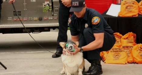 photo by San Diego Fire Rescue Foundation