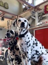 photo by San Jose Fire Department