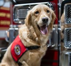 photo by San Ramon Valley FPD