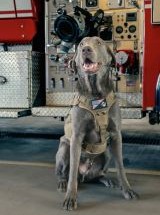 photo by Stockton Fire Department