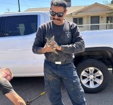 photo by Tulare County Fire Department