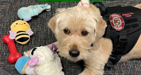 photo by Ventura Fire Department