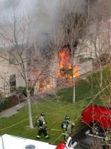 photo by City of Fremont